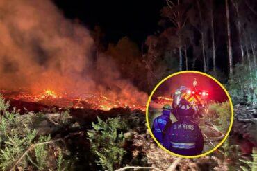 Incendio Forestal, Alerta Roja en Chiguayante