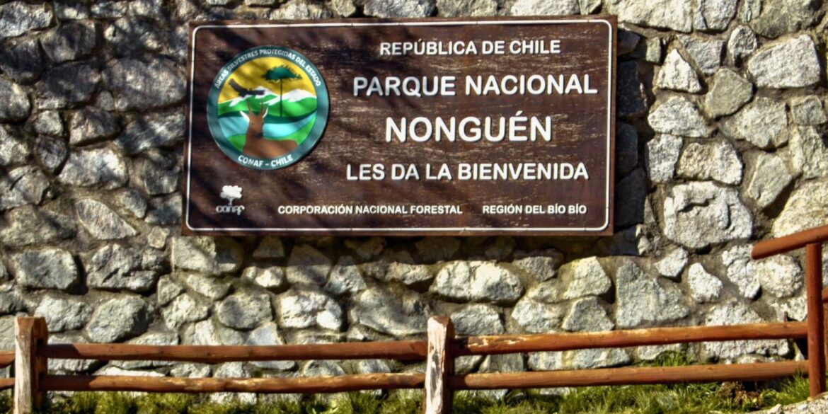 Parque Nonguén carretera eléctrica