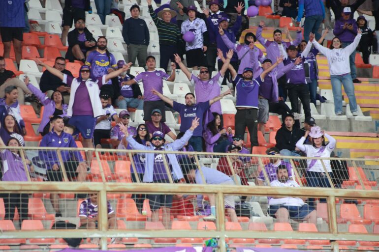 Hinchas Deportes Concepción