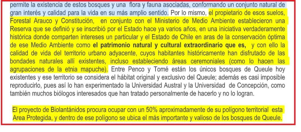 Tierras Raras informe Zelada