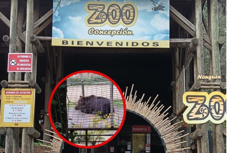 Denuncia Zoológico de Concepción