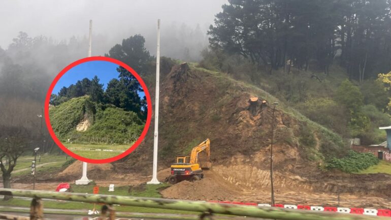 Corte Pino Huacho Parque Ecuador