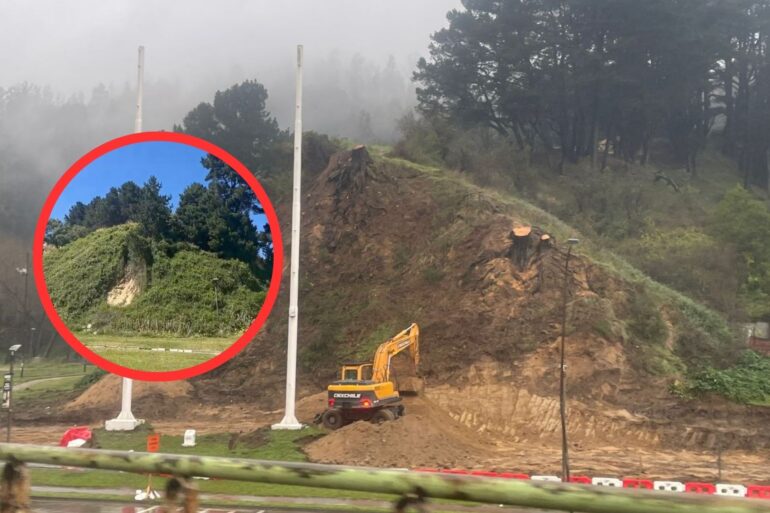 Corte Pino Huacho Parque Ecuador