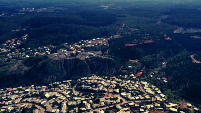 Curanilahue bosques