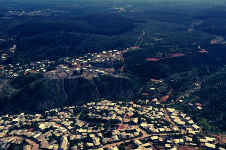 Curanilahue bosques
