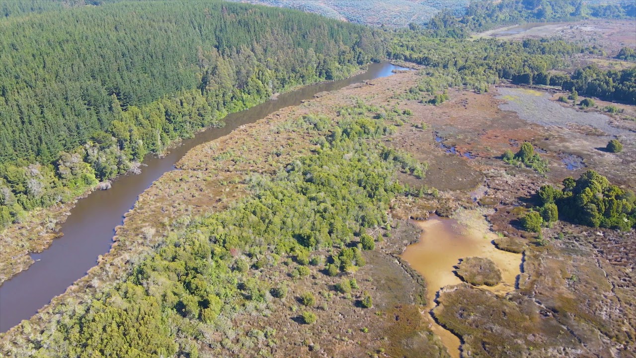 Laguna Junquillar