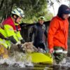 Plan Comunal de Emergencia Coronel