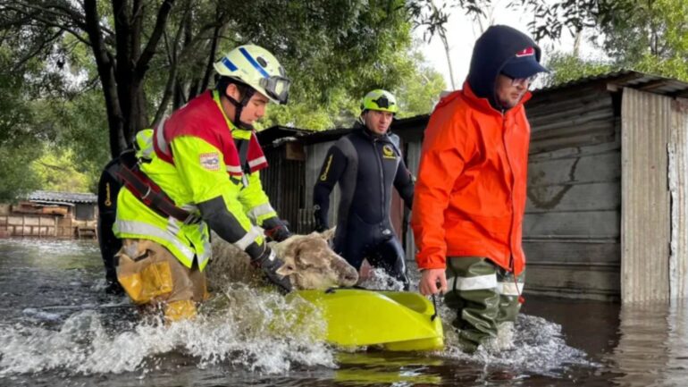 Plan Comunal de Emergencia Coronel