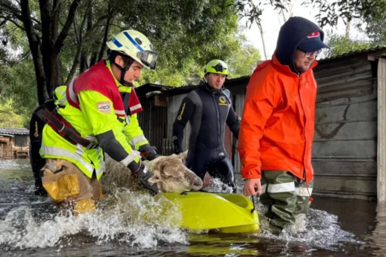 Plan Comunal de Emergencia Coronel
