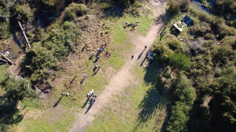 Reforestación árboles nativos CEDEUS