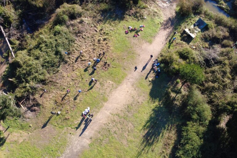 Reforestación árboles nativos CEDEUS