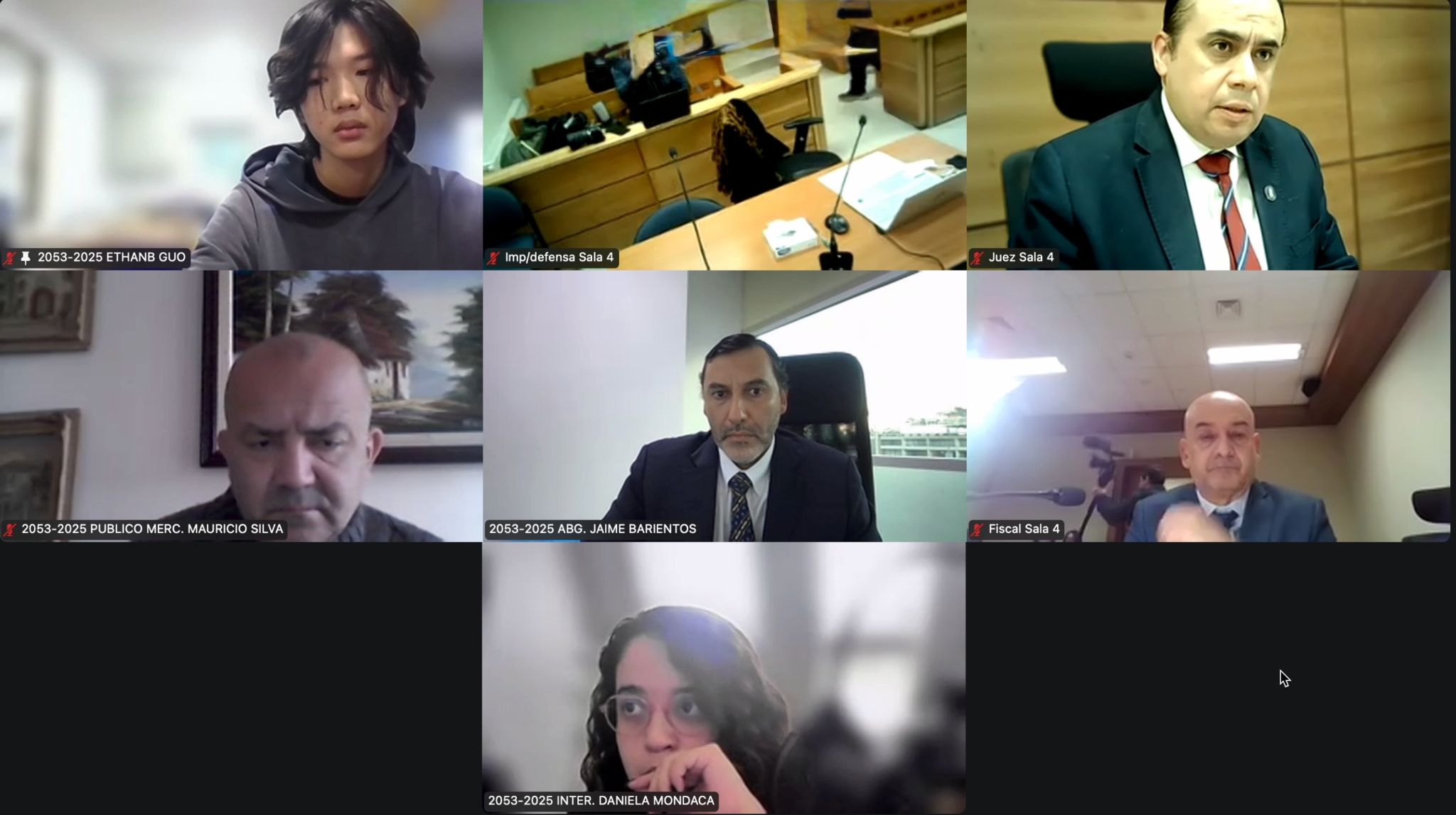 Audiencia Ethan Guo