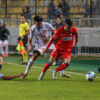 Everton vs Huachipato