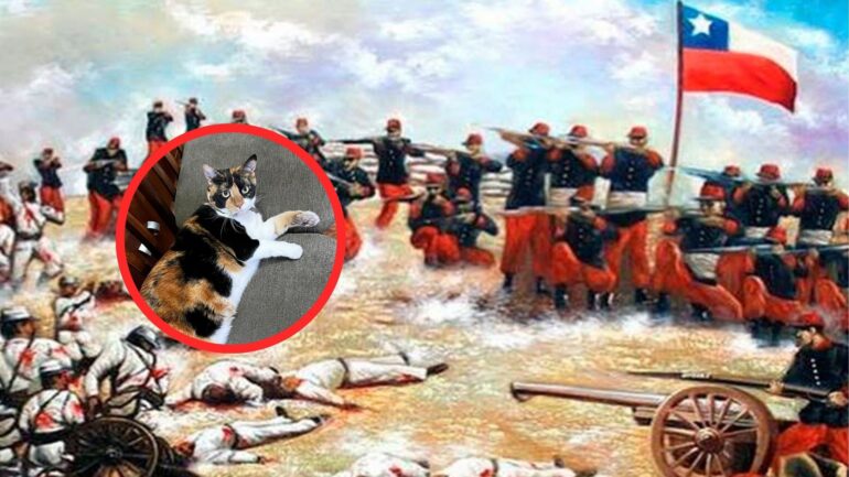 Gatos Guerra del Pacífico