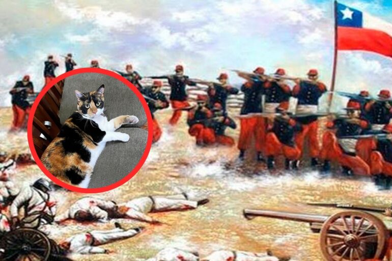 Gatos Guerra del Pacífico