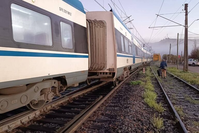 Tren Corto Laja descarrilamiento