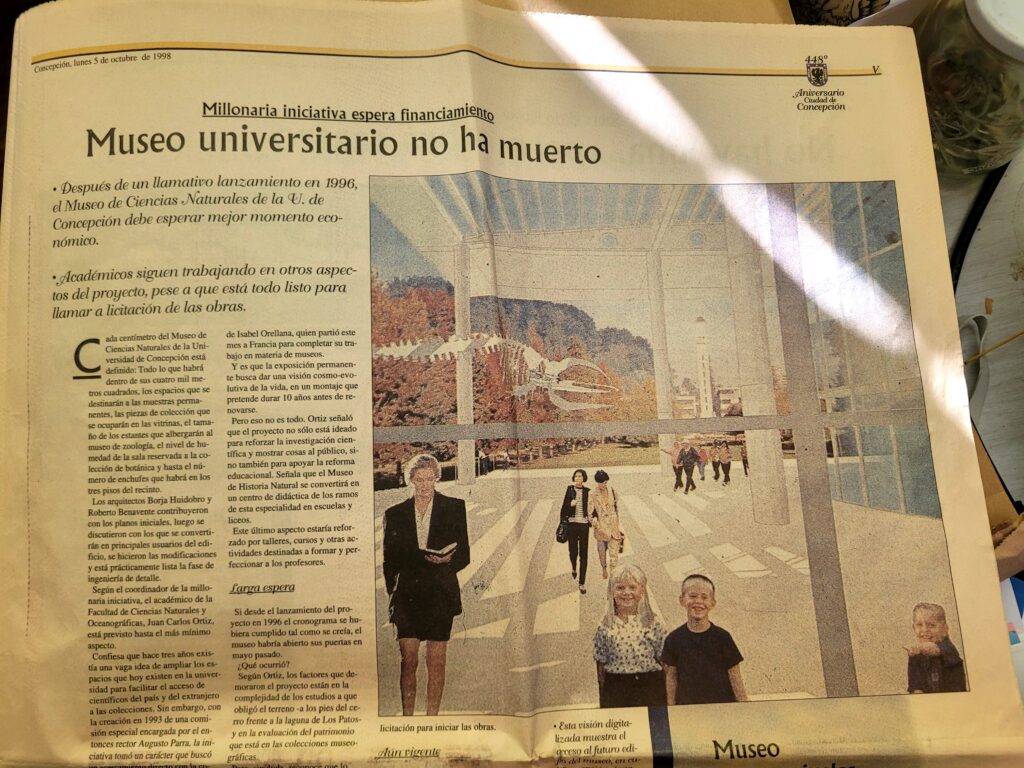 Artículo sobre el Museo de Zoología y el esqueleto de ballena | Sala de Prensa