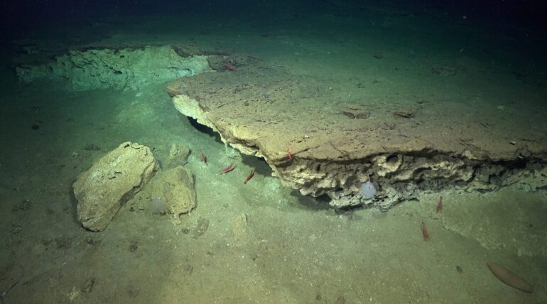 Bio Bio Canyon en la expedición Chilean Margin | Foto del Instituto Oceánico Schmidt.