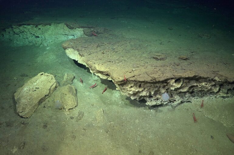 Bio Bio Canyon en la expedición Chilean Margin | Foto del Instituto Oceánico Schmidt.