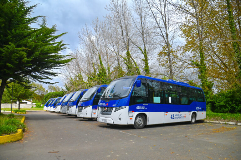 Buses estándar RED línea 42 Minibuses Hualpencillo