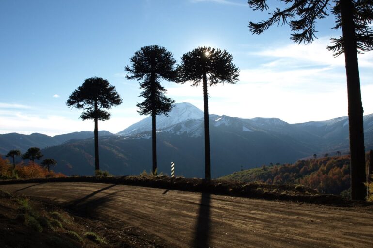 Camino rural provincia de Arauco