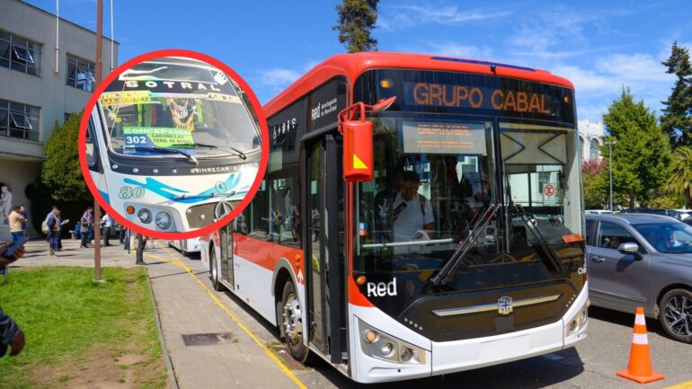 Coronel-Lota licitación buses eléctricos