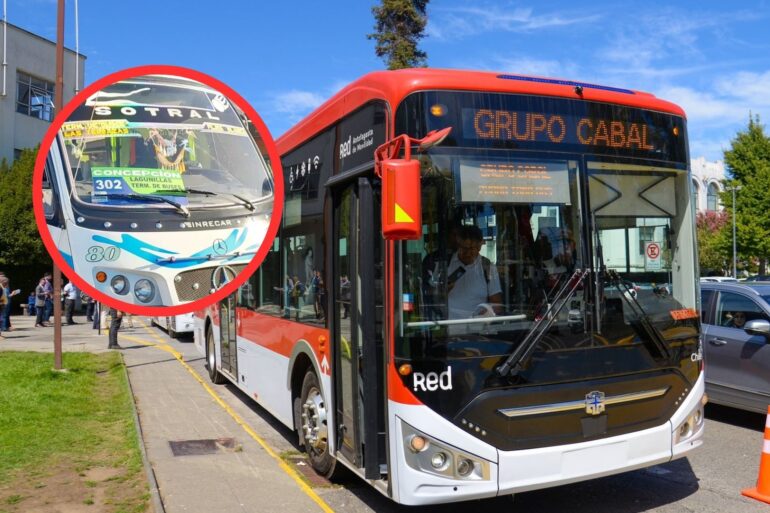 Coronel-Lota licitación buses eléctricos