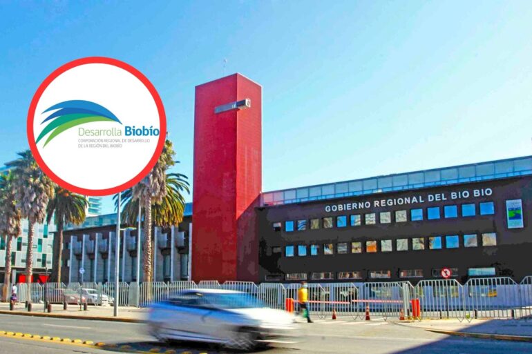Desarrolla Biobío Gobierno Regional del Biobío