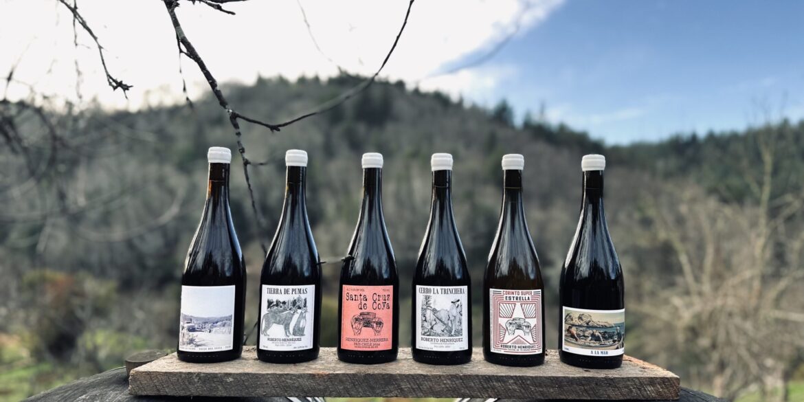 Día del Vino