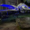 Esqueleto Ballena UdeC