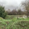 Humedal Los Boldos | Imagen de Fundación Terram