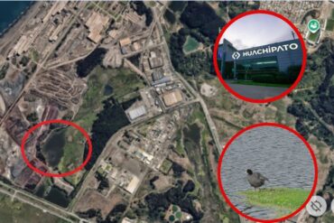 Portada Laguna de Huachipato