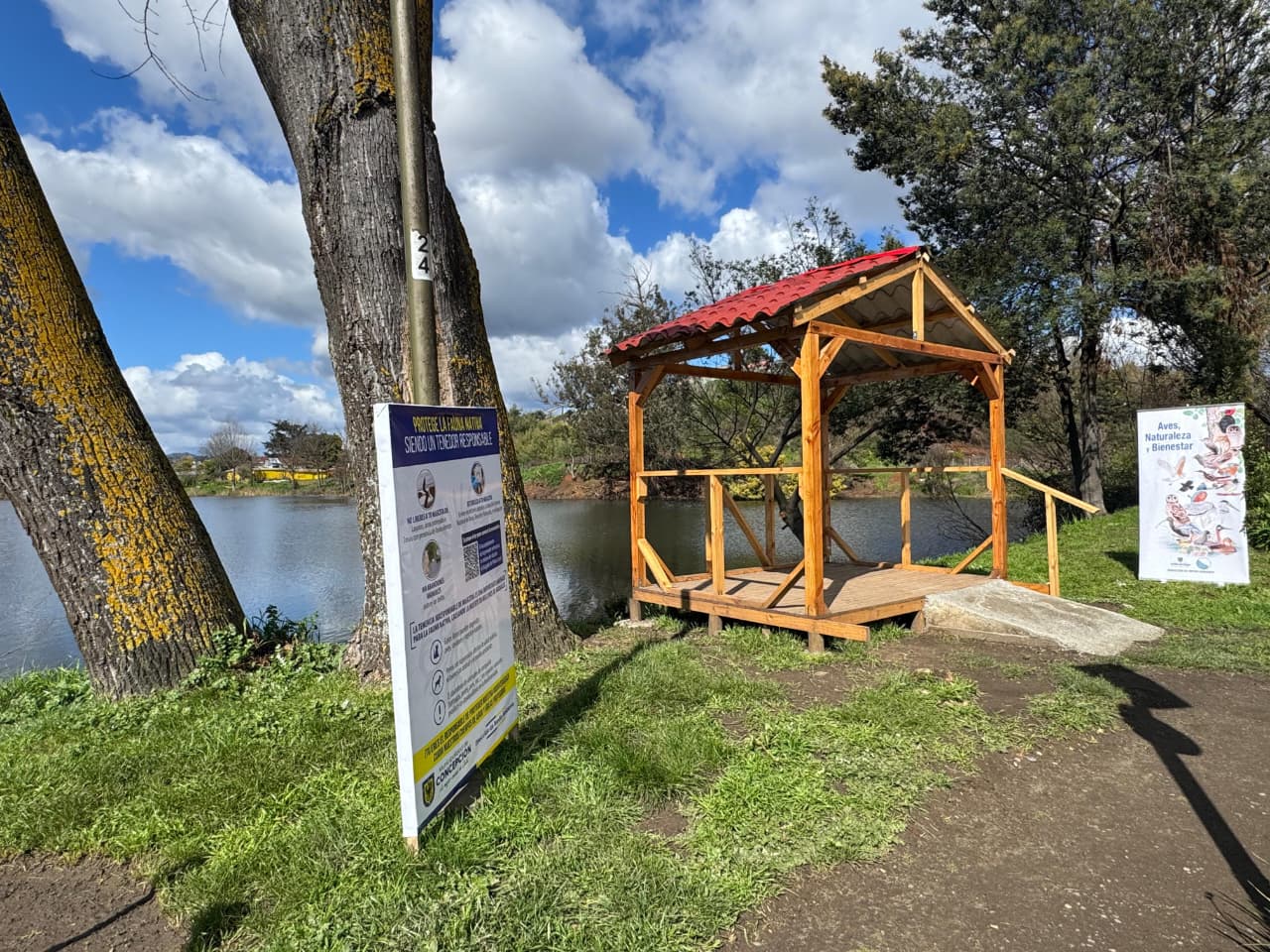 Primer mirador para observación de aves de Concepción | Foto: Municipalidad de Concepción
