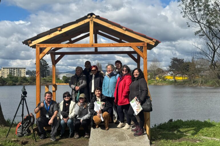 Primer mirador para observación de aves de Concepción | Foto: Municipalidad de Concepción