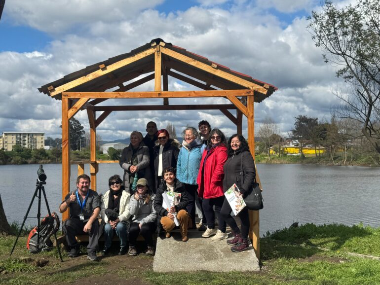 Primer mirador para observación de aves de Concepción | Foto: Municipalidad de Concepción
