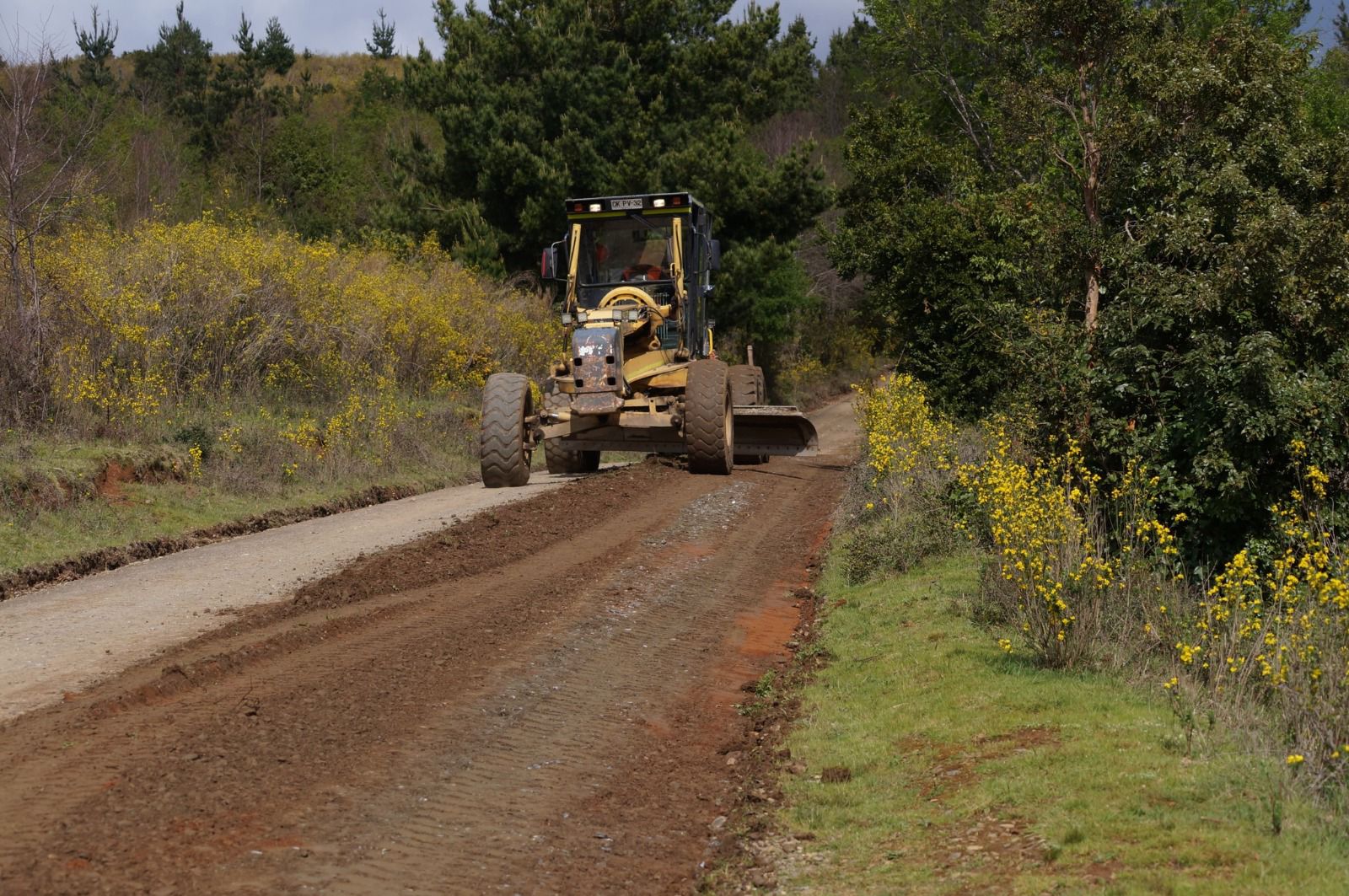 Reparación caminos indígenas provincia de Arauco