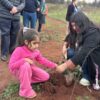 Restauración ecológica Alhuelemu