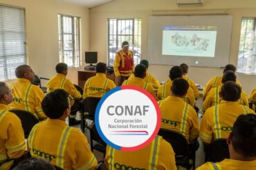 42 jefes de brigada de CONAF en sus capacitaciones | Edición: Sala de Prensa