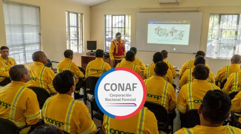 42 jefes de brigada de CONAF en sus capacitaciones | Edición: Sala de Prensa