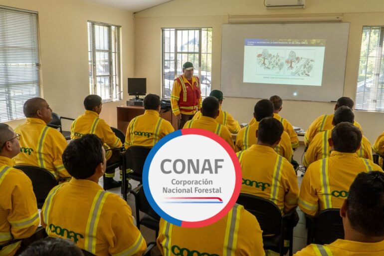 42 jefes de brigada de CONAF en sus capacitaciones | Edición: Sala de Prensa