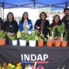 Feria de las Flores INDAP