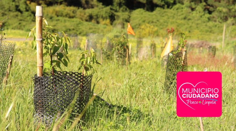 Plantación en Fundo Coihueco | Edición: Sala de Prensa