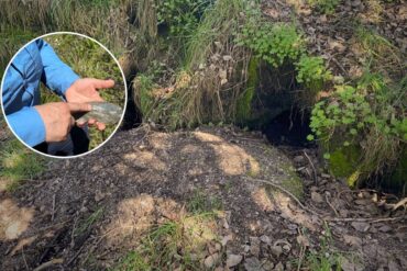 Bellavista 1 Sitio Arqueológico en la Región del Biobío