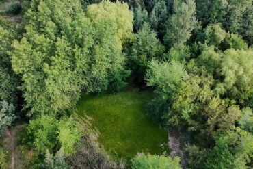 Humedal Los Boldos | Foto: Sala de Prensa