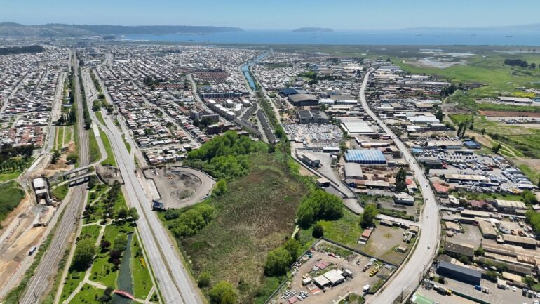 Humedal Perales Talcahuano