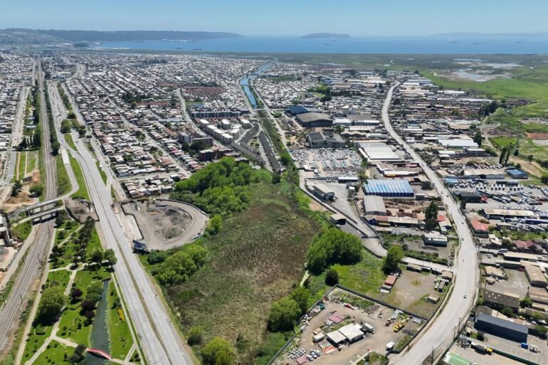 Humedal Perales Talcahuano