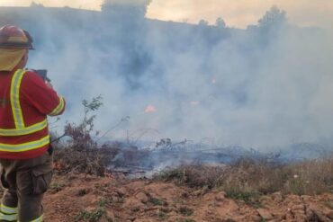 Quemas controladas CONAF