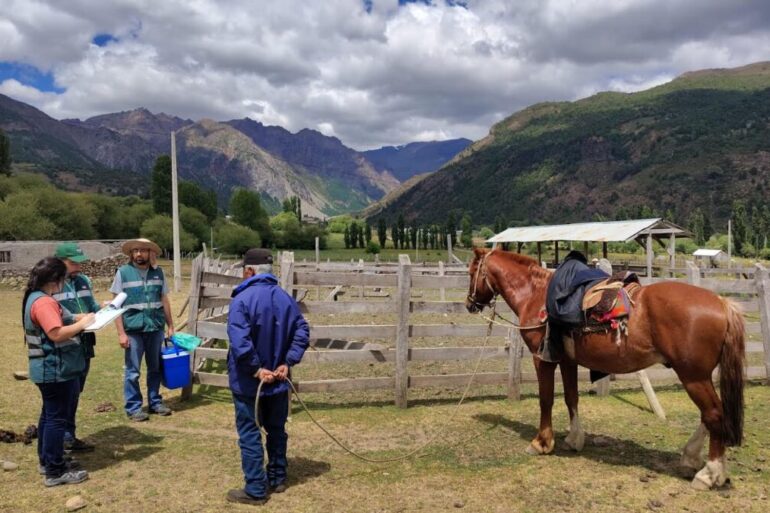 SAG inspección veranada Alto Biobío