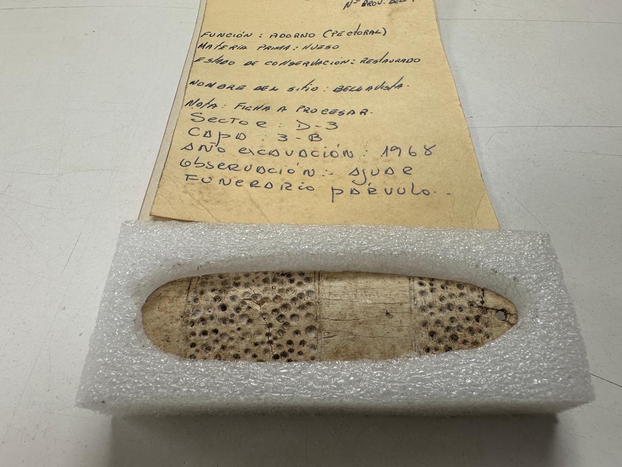 Sitios pectoral en Bellavista / Arauco Tubul