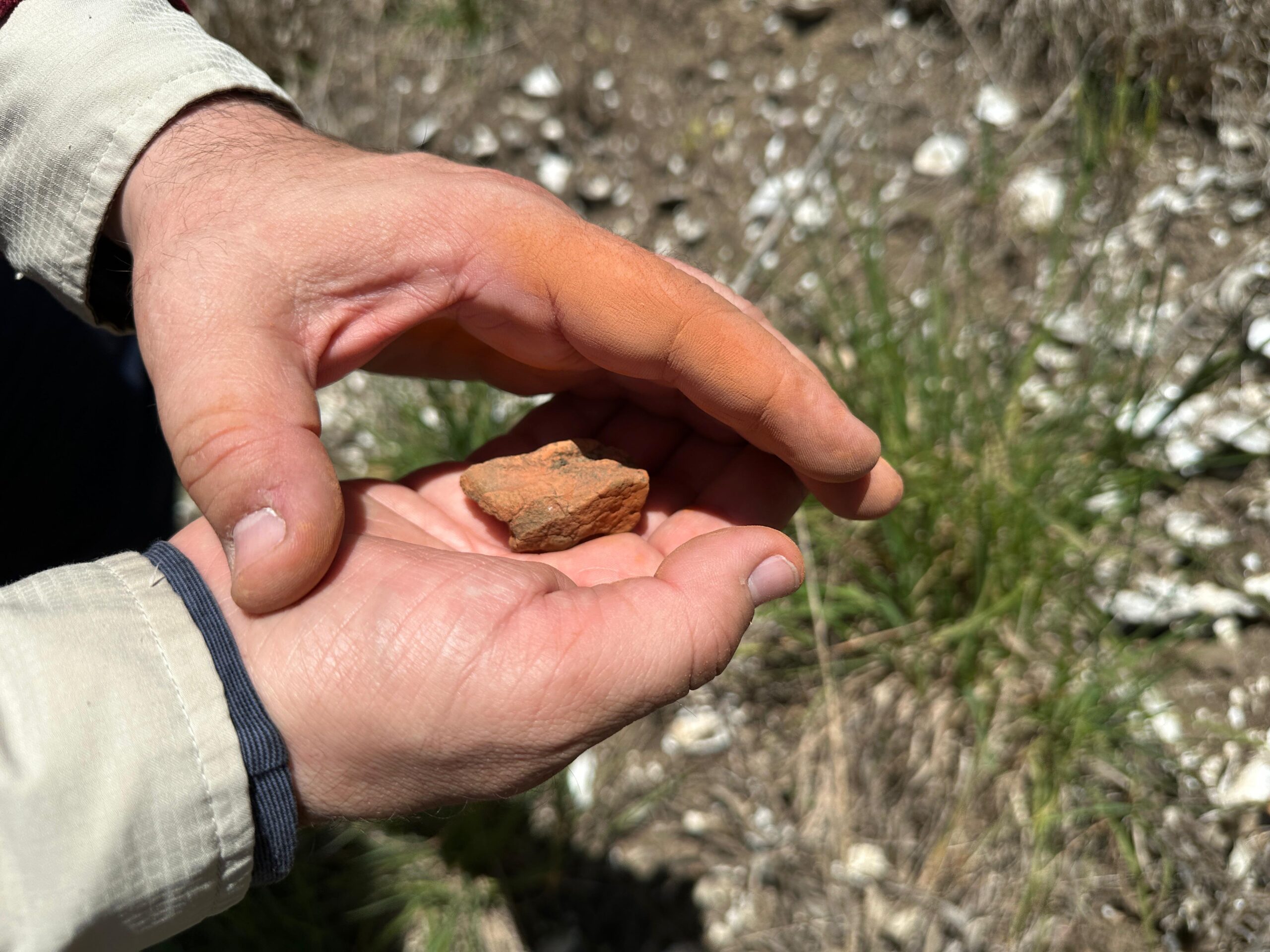 Sitios piedra pigmento Tubul 1 Arauco